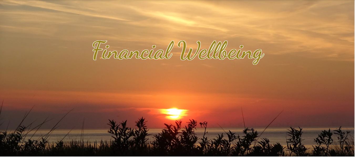 Financial Wellbeing