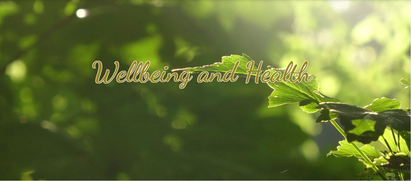 Wellbeing and Health