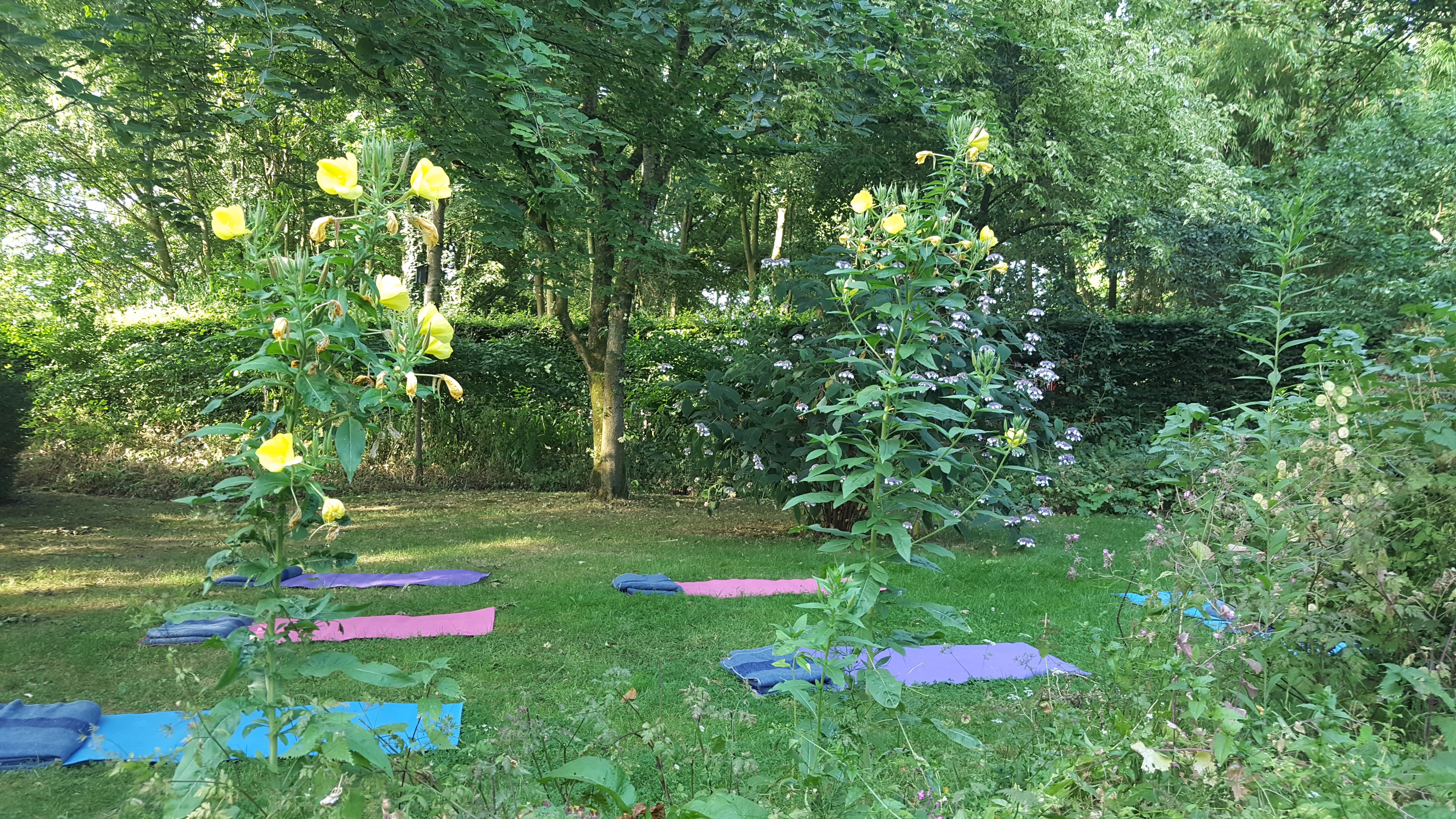 Yoga & Meditation Mats